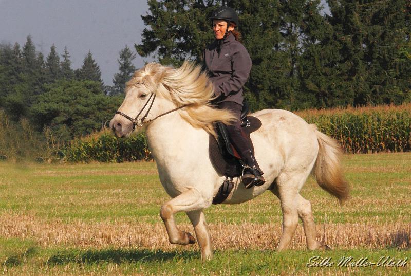 Bine und Kjarkur b.jpg - Sabine und Kjarkur